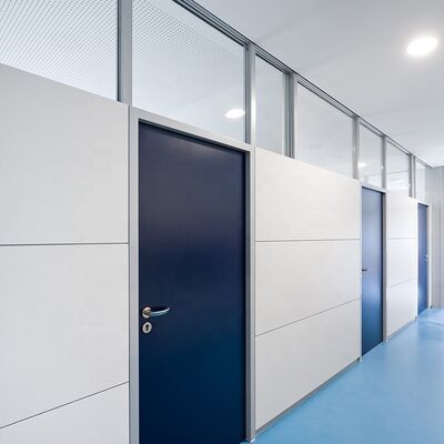 Customized Aluminum Office Double Single Glazed Glass Partition Walls with Steel Solid Panel